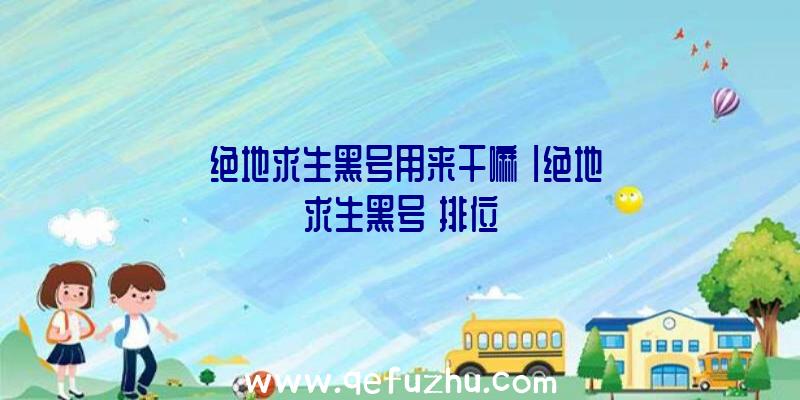 「绝地求生黑号用来干嘛」|绝地求生黑号